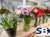 florist retail online florist