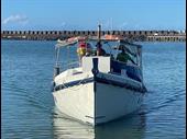 established charter business with