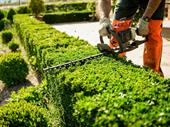 landscaping business lee county
