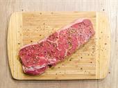 meat processing equipment sales
