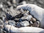well established charcoal wholesale