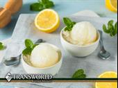 turnkey ice cream italian