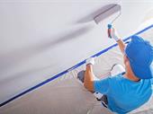 established painting business virginia