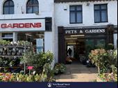 thriving business specialising plants