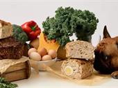 profitable pet food supplies