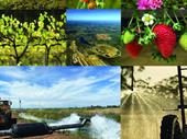 where innovation meets sustainability