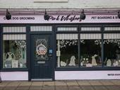 award-winning dog groomer tyne