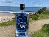 independent urban distillery can