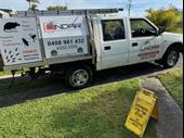 pest control termite inspections