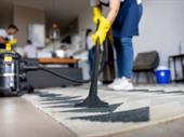 profitable cleaning business for