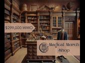 magic themed merchandise shop