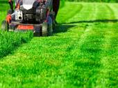 established landscaping business massachusetts