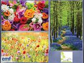 highly profitable franchise specialising