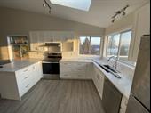 established home improvement franchise