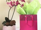 established 13-year home staging