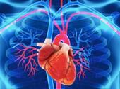 medical devices distribution company