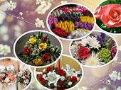 florist near nyc-metro boasts