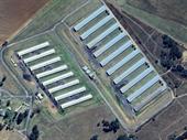 profitable broiler farm mpumalanga