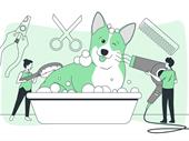 profitable pet grooming with