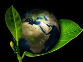 well-established environmental services consulting