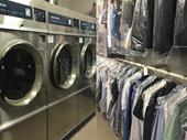 laundromat sydney eastern suburbs