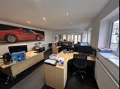 established profitable car sales