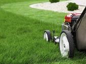 lawn mowing business bayside