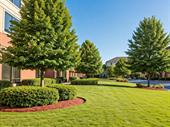 reputable grounds maintenance business