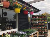 family-run farm gift shop