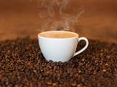 thriving coffeehouse with rapid