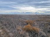 20 acres prime commercial