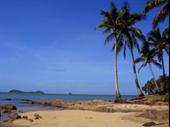 management rights business palm