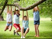 reputable dedicated provider of