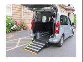 profitable exciting wheelchair taxi