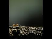 profitable pest control termite