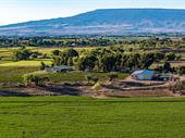 premier income-producing winery olathe