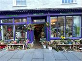 a stunning florist business