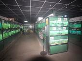 aquatic superstore enfield freehold