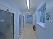 luxury cattery business balmedie