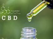 fort lauderdale cbd product