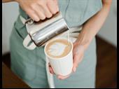 franchised coffee shop north