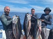 thriving fishing spearfishing business