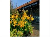 well established thriving cafe
