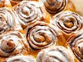 specialty bakery franchise utah