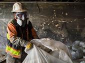 asbestos mold abatement removal