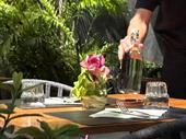 established restaurant maldives