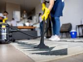 established queens ny cleaning