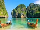 hotels flights car rentals