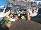 fresh opportunity thriving fruit