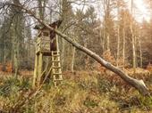 high fenced hunting preserve